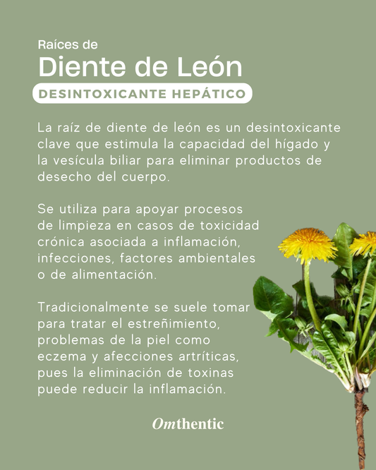 Tintura medicinal orgánica — Raíz de diente de león
